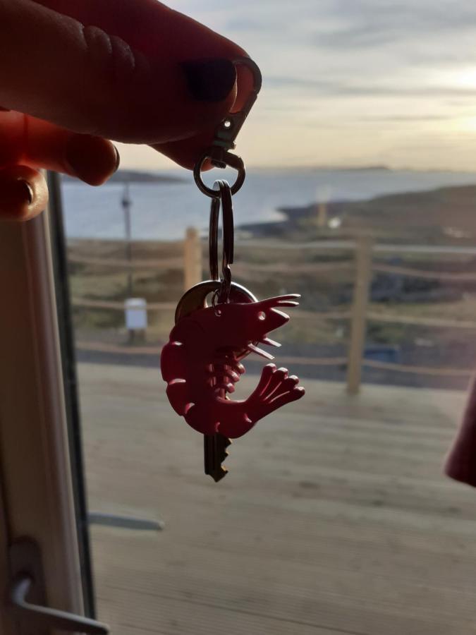 The Sleepy Crofter Glamping - Achiltibuie Hotel Buitenkant foto