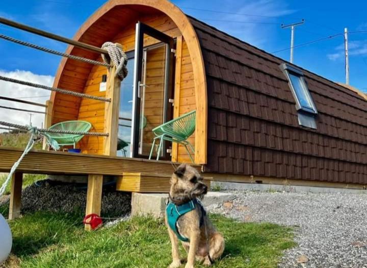 The Sleepy Crofter Glamping - Achiltibuie Hotel Buitenkant foto